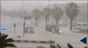 التقلبات الجوية تبدأ الخميس المقبل وتحذر الأرصاد من ظواهر تؤثر على حركة الملاحة والأنشطة اليومية